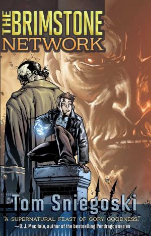 Cover of the book The Brimstone Network by James Riley