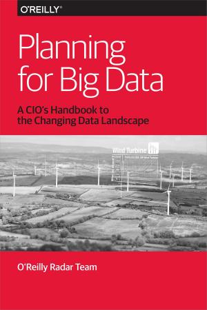 Book cover of Planning for Big Data