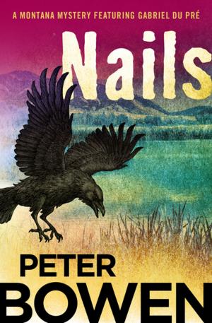 Cover of the book Nails by M. E. Kerr