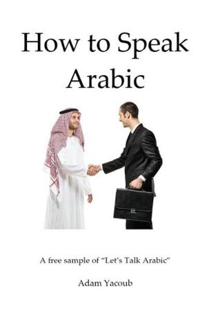Cover of the book How to Speak Arabic by Marti Eicholz