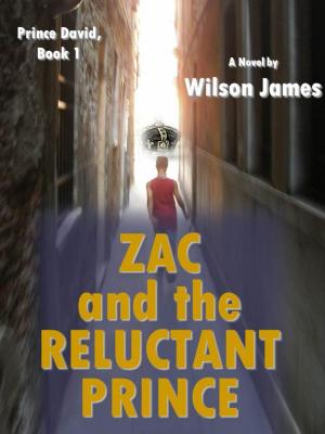bigCover of the book Zac and the Reluctant Prince, Book 1 of Prince David series by 