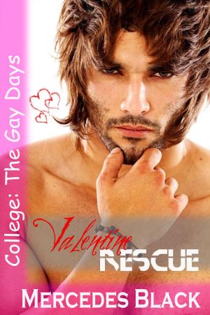 Book cover of Valentine Rescue