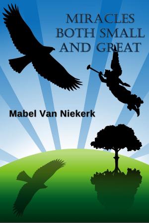 Book cover of Miracles Both Small and Great