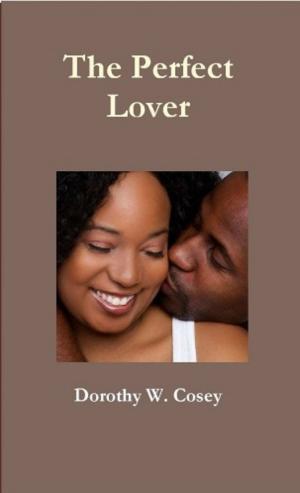 Cover of the book The Perfect Lover by Skye Taylor