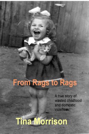 Cover of From Rags to Rags