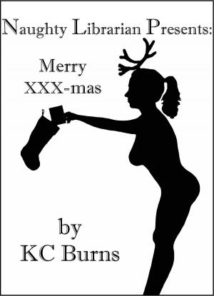 Cover of the book Naughty Librarian Presents: Merry XXX-mas by Lois Edmonds
