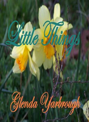 Cover of the book Little Things by Porphyro