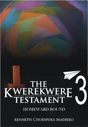 Cover of the book The Kwerekwere Testament 3: Homeward Bound by Ben Ormstad