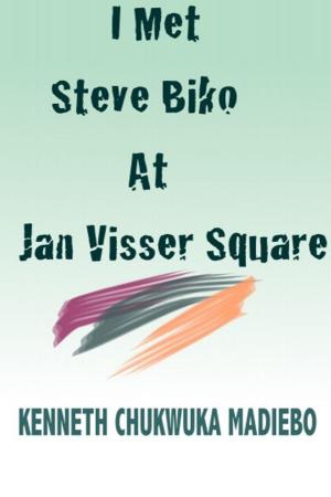 Cover of the book I Met Steve Biko at Jan Visser Square by Jerry Johnson
