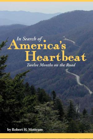 Cover of the book In Search of America's Heartbeat, Twelve Months on the Road by steve casteel