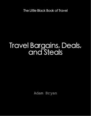 Cover of Travel Bargains, Deals and Steals