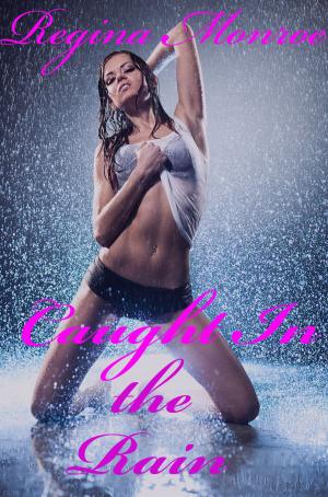 Cover of the book Caught in the Rain by Ruby Risque
