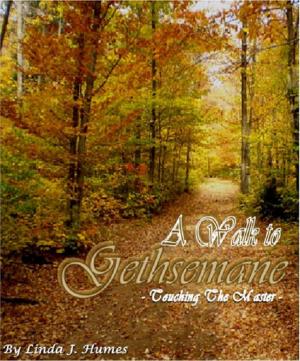 Cover of the book A Walk To Gethsemane: Touching The Master by Cam Johnson