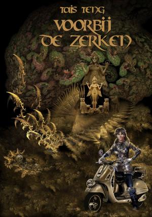 Cover of the book Voorbij de Zerken by Kenneth Kohl