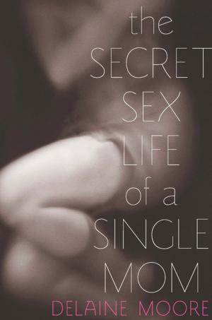 Cover of the book The Secret Sex Life of a Single Mom by Barbara Freese