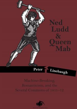 Cover of the book Ned Ludd & Queen Mab by Elizabeth Hand
