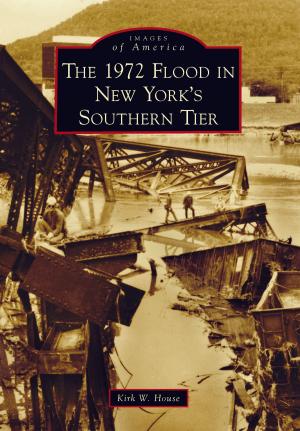 Cover of the book The 1972 Flood in New York's Southern Tier by Beth A. Richards, Chuck L. Gove