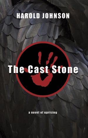 bigCover of the book The Cast Stone by 