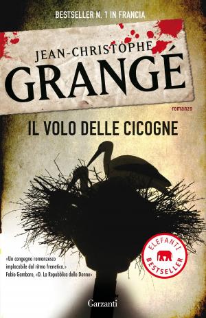 Cover of the book Il volo delle cicogne by Deborah Meyler