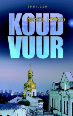 Book cover of Koud vuur