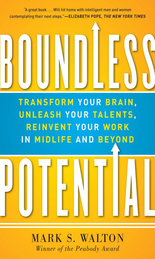 Cover of the book Boundless Potential: Transform Your Brain, Unleash Your Talents, and Reinvent Your Work in Midlife and Beyond by Mark S. Walton, McGraw-Hill Education