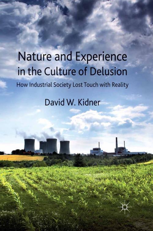 Cover of the book Nature and Experience in the Culture of Delusion by D. Kidner, Palgrave Macmillan UK