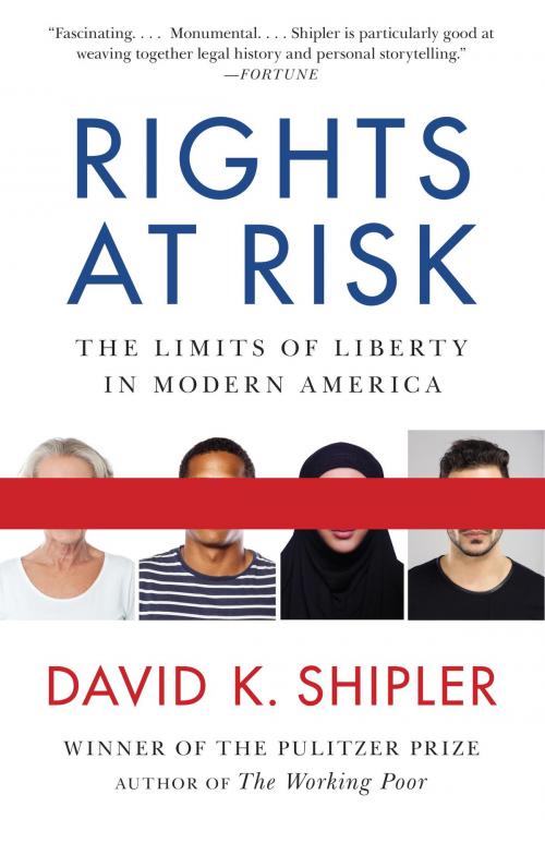 Cover of the book Rights at Risk by David K. Shipler, Knopf Doubleday Publishing Group