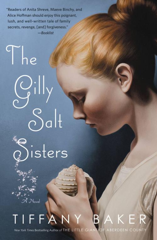 Cover of the book The Gilly Salt Sisters by Tiffany Baker, Grand Central Publishing