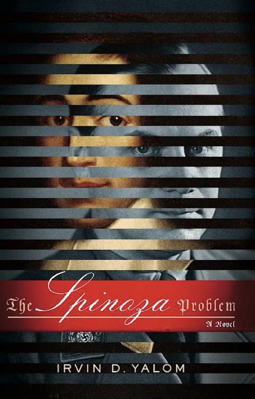 Cover of the book The Spinoza Problem by Irvin D. Yalom, Basic Books