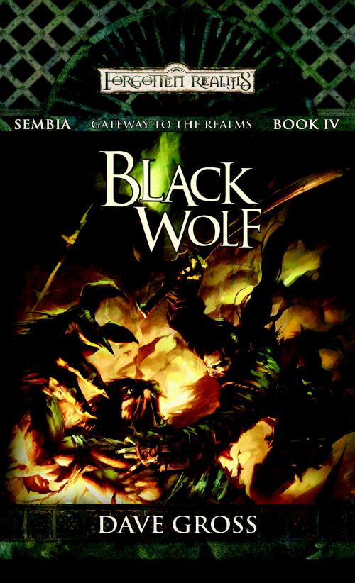 Cover of the book Black Wolf by Dave Gross, Wizards of the Coast Publishing