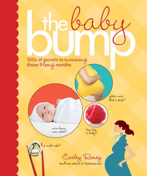 Cover of the book The Baby Bump by Carley Roney, Chronicle Books LLC