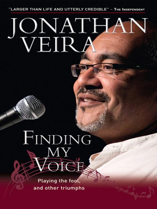 Cover of the book Finding My Voice by Steve Goss, Lion Hudson