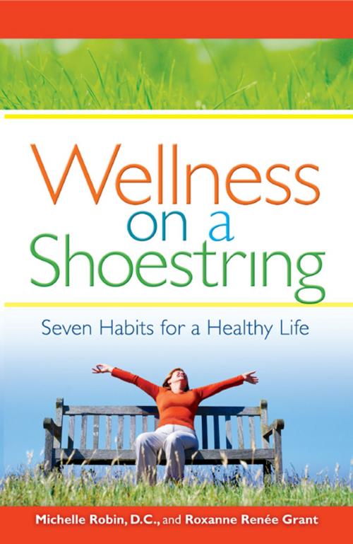 Cover of the book Wellness on a Shoestring by Michelle Robin D.C., Unity Books