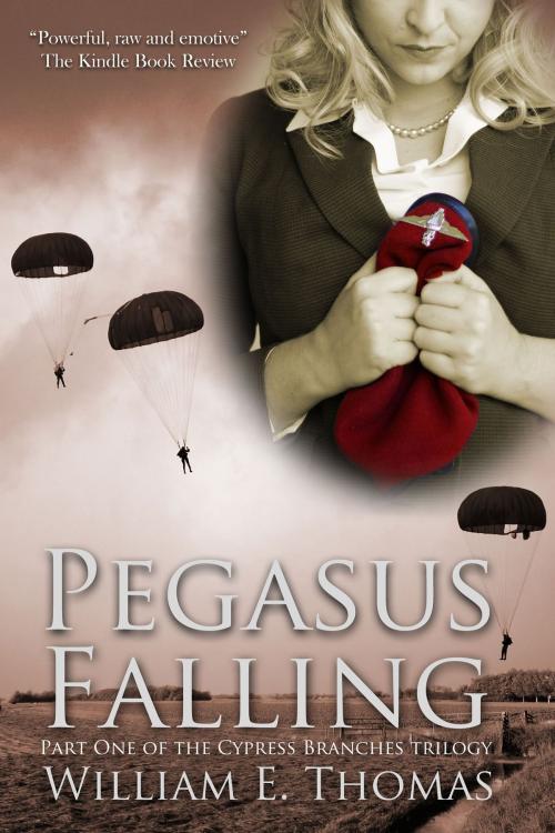 Cover of the book Pegasus Falling by William E. Thomas, Acute Angle books