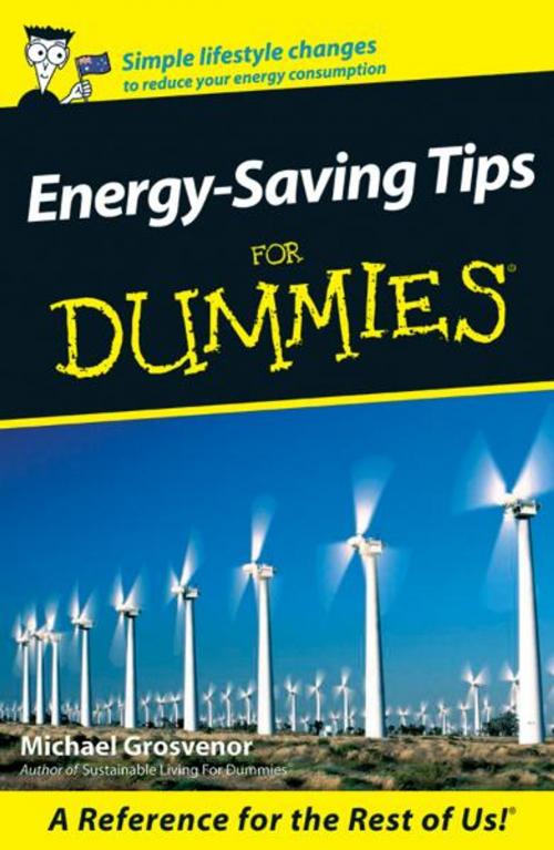 Cover of the book Energy-Saving Tips For Dummies by Michael Grosvenor, Wiley