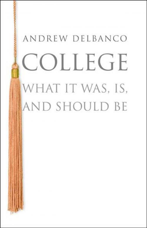 Cover of the book College by Andrew Delbanco, Princeton University Press