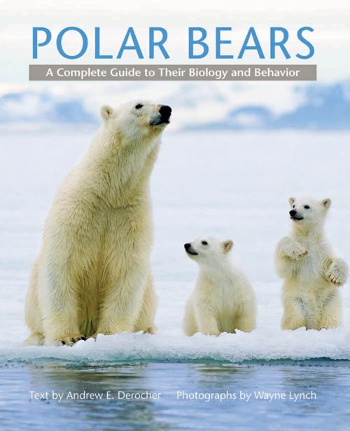 Cover of the book Polar Bears by Andrew E. Derocher, Johns Hopkins University Press