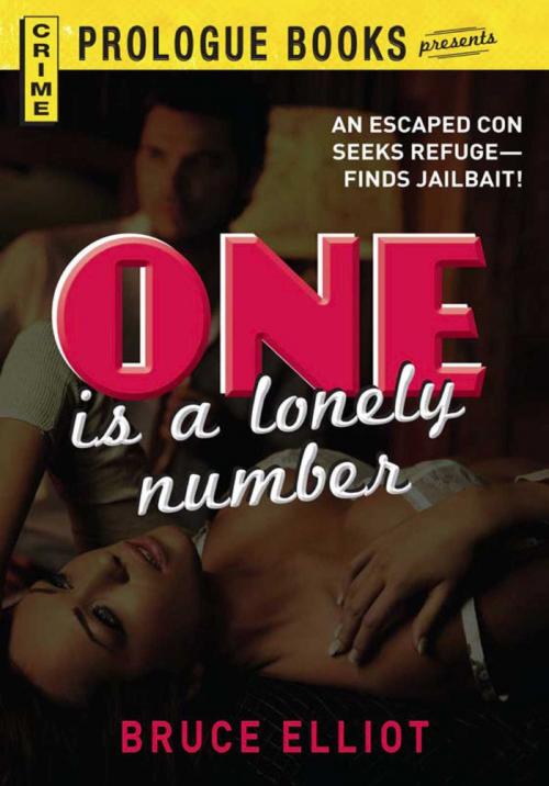 Cover of the book One is a Lonely Number by Bruce Elliott, Adams Media