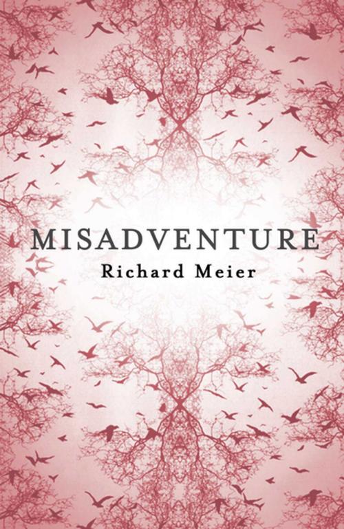 Cover of the book Misadventure by Richard Meier, Pan Macmillan