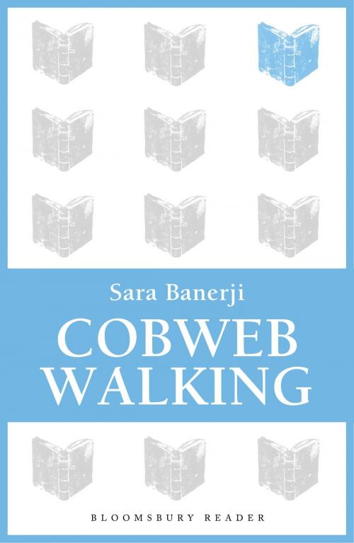 Cover of the book Cobweb Walking by Sara Banerji, Bloomsbury Publishing