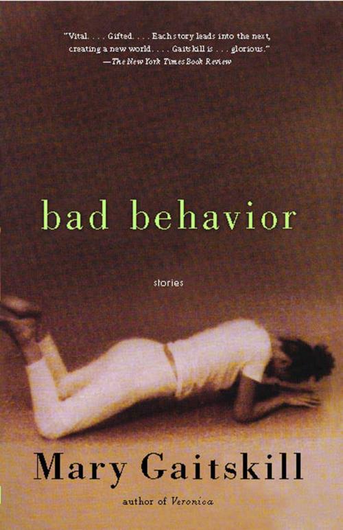 Cover of the book Bad Behavior by Mary Gaitskill, Simon & Schuster