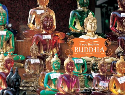 Cover of the book If You Find the Buddha by Jesse Kalisher, Chronicle Books LLC