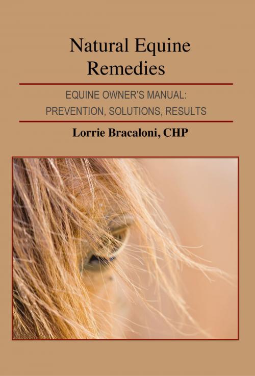 Cover of the book Natural Equine Remedies by Lorrie Bracaloni, Lorrie Bracaloni