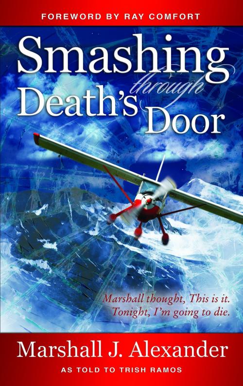 Cover of the book Smashing Through Death's Door by Alexander, Marshall, ReadHowYouWant