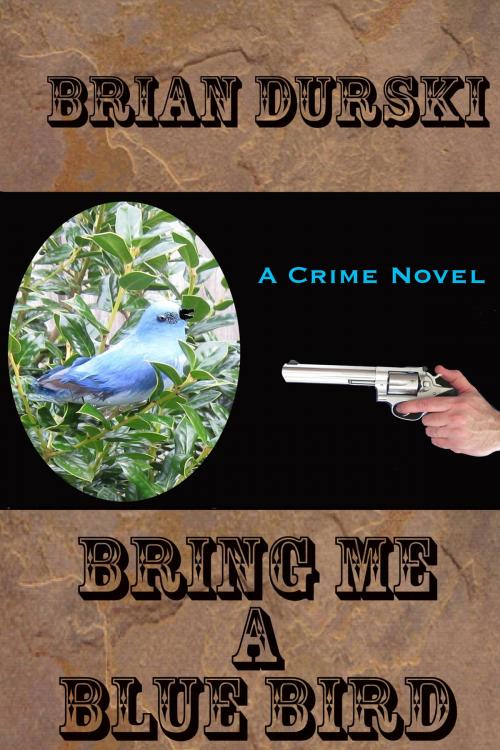 Cover of the book Bring Me A Bluebird by Brian Durski, My Seashell Books