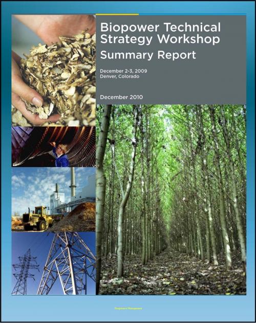 Cover of the book Biopower Technical Strategy Workshop: Challenges to Expanded Use of Biopower, Technology Research, Feedstocks, Market Transformation by Progressive Management, Progressive Management