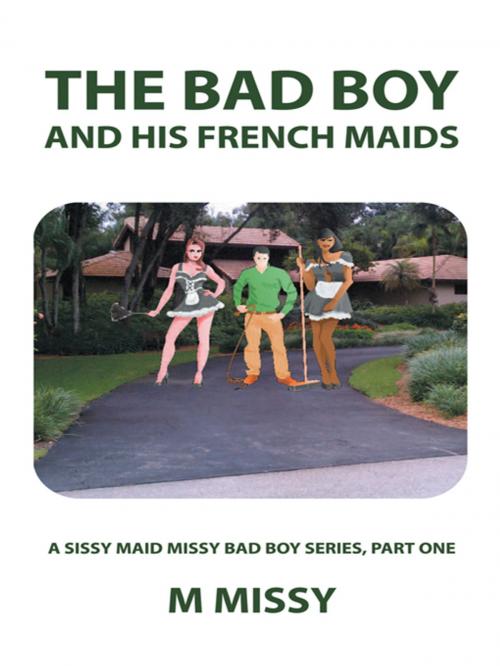 Cover of the book The Bad Boy and His French Maids by m missy, AuthorHouse