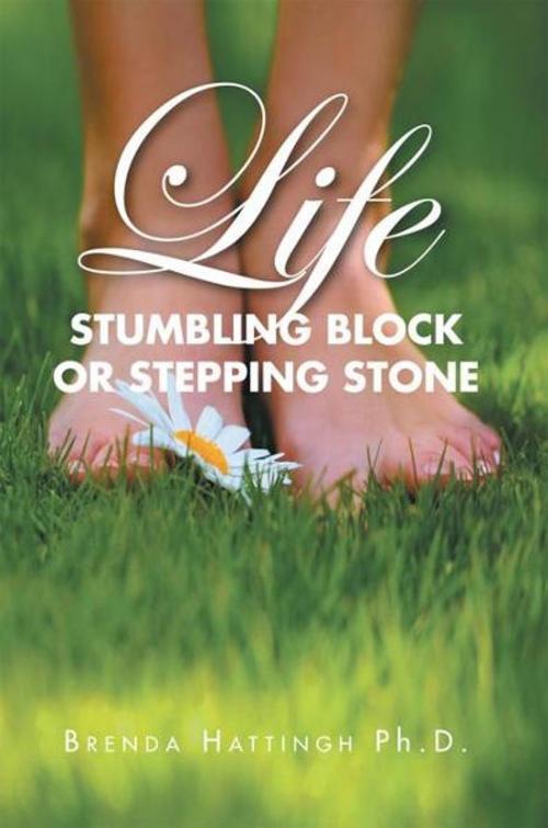 Cover of the book Life – Stumbling Block or Stepping Stone by Brenda Hattingh Ph.D., Xlibris UK