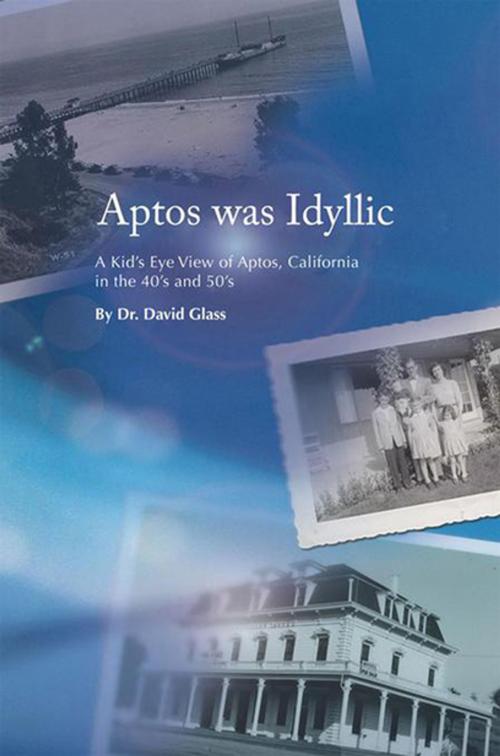 Cover of the book Aptos Was Idyllic by Dr. David Glass, Xlibris US