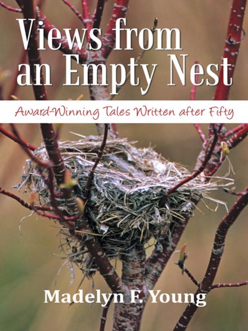 Cover of the book Views from an Empty Nest by Madelyn F. Young, iUniverse